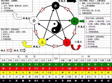 甲乙丙丁戊己庚辛壬癸|天干地支五行对照表图 阴阳五行